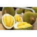 DURIAN